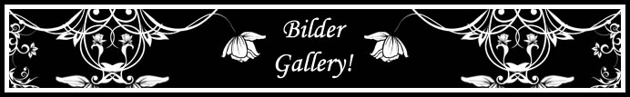 Zur Gallery - Bitte hier klicken!
